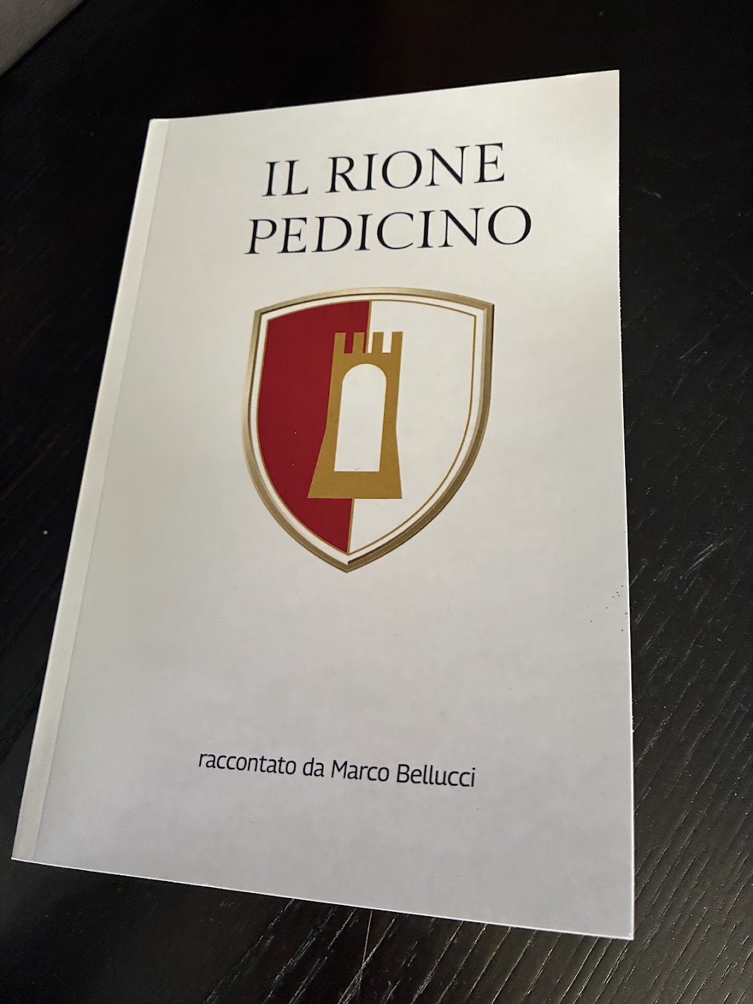 Copertina del volume Il Rione Pedicino