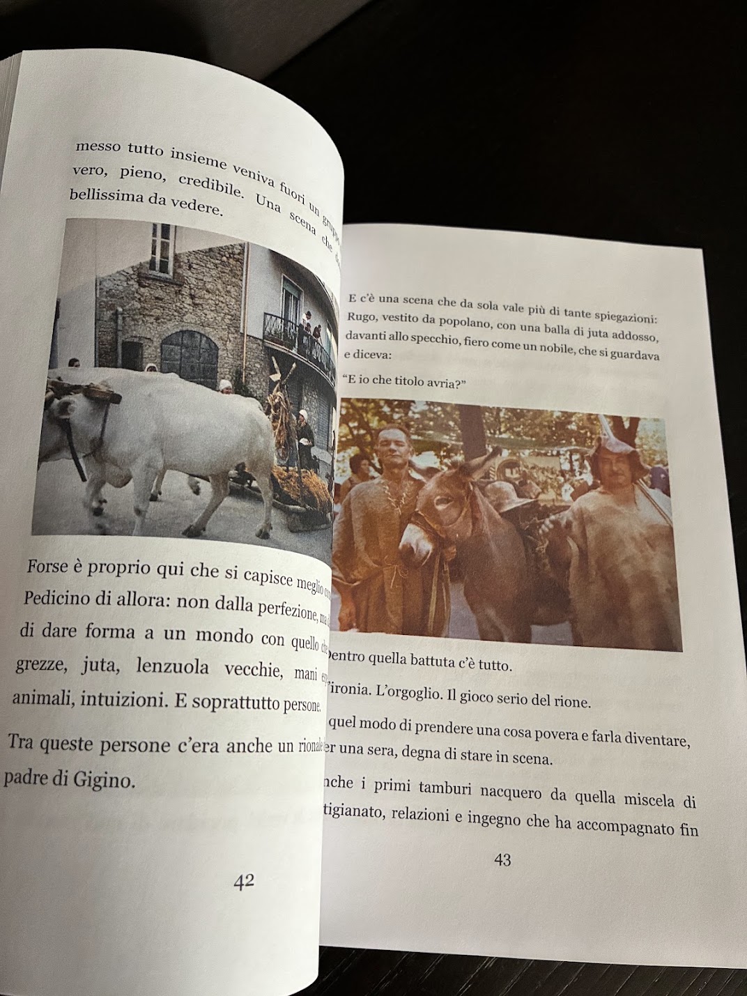 Pagine interne del volume Il Rione Pedicino